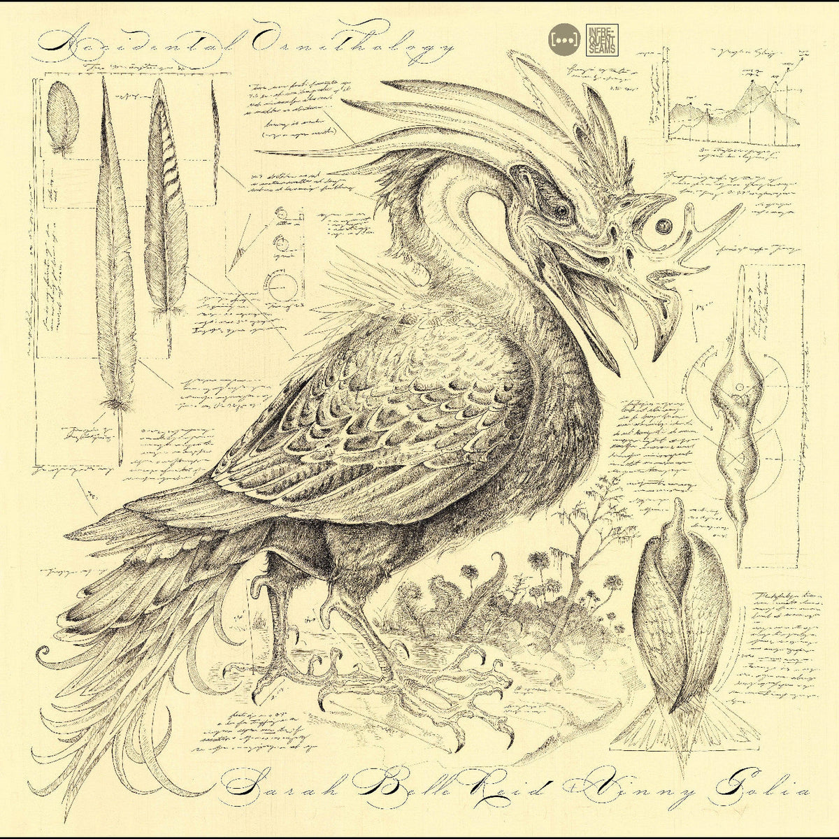 Sarah Belle & Golia Reid Accidental Ornithology