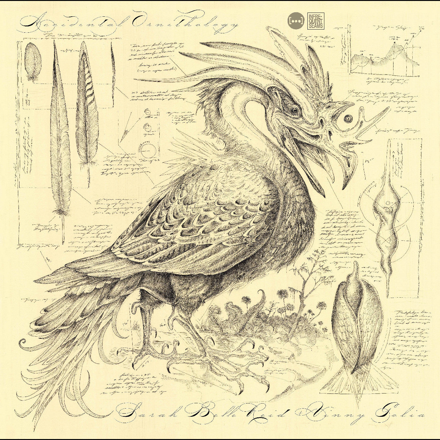 Sarah Belle & Golia Reid Accidental Ornithology