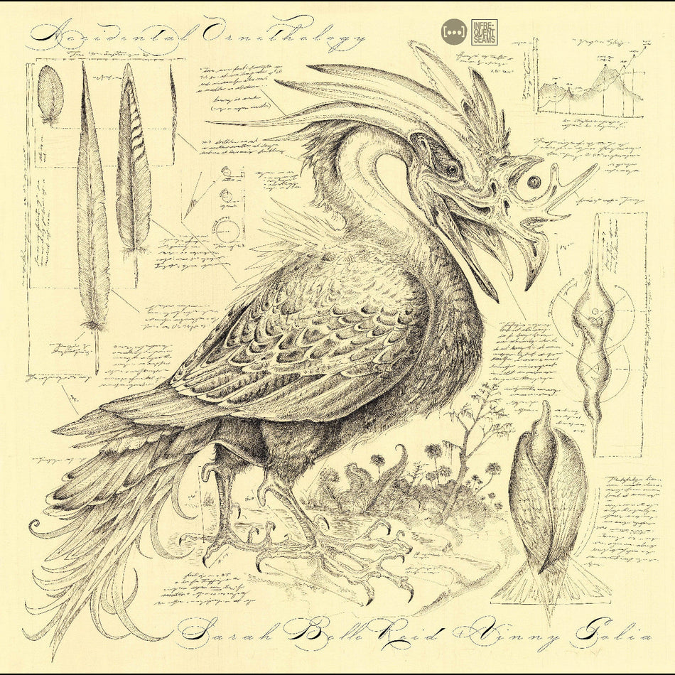Sarah Belle & Golia Reid Accidental Ornithology