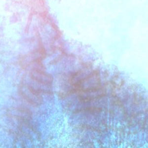 SCUBA DEATH The Worm At The Core