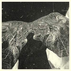 SECRET BOYFRIEND Memory Care Unit