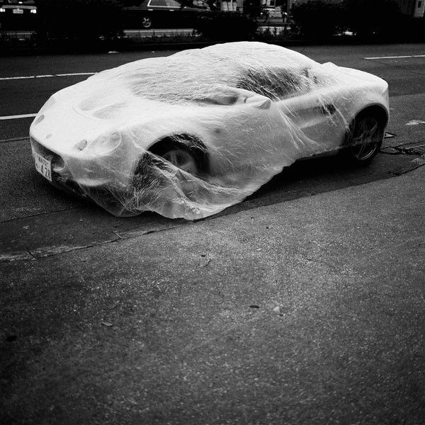 SERPENTE Dias da Aranha