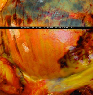 SHAPEDNOISE Until Human Voices Wake Us