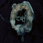 Ship Sket Initiatrix