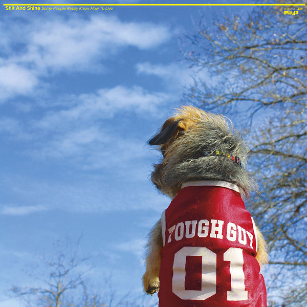 SHIT AND SHINE Some People Really Know How To Live