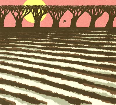 SHOGUN KUNITOKI Tasankokaiku