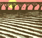 SHOGUN KUNITOKI Tasankokaiku