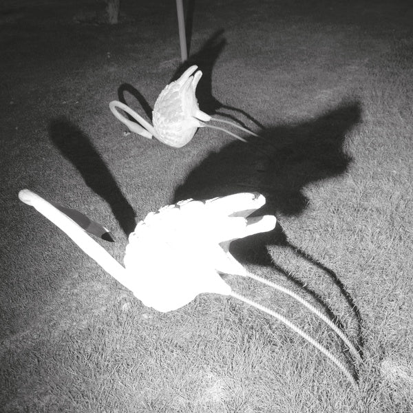 Siavash Amini A Mimesis of Nothingness