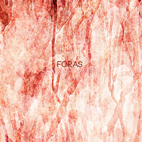 Siavash Amini Foras