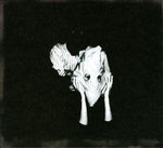 Sigur Rós KVEIKUR