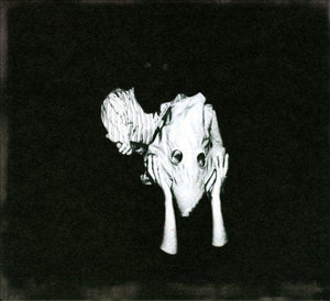 Sigur Rós KVEIKUR