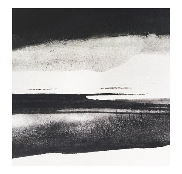 SILENT VIGILS Fieldem