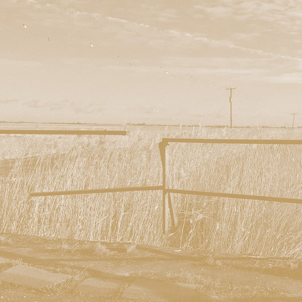 SIMON SCOTT Long Drove