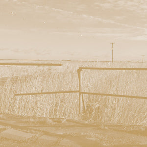 SIMON SCOTT Long Drove