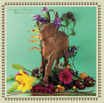 SIR RICHARD BISHOP & ED YAZIJIAN Sir Richard Bishop & Ed Yazijian