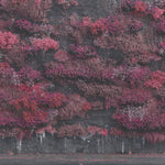 Sleep Token Even In Arcadia (CD)