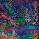 SLOW STEVE Adventures