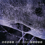 Speed Of The Stars (Steve Kilbey & Frank Kearns) Speed Of The Stars (Purple Vinyl)