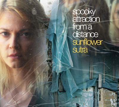 SPOOKY ATTRACTION FROM A DISTANCE Sunflower Sutra