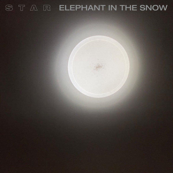 STAR Elephant In The Snow