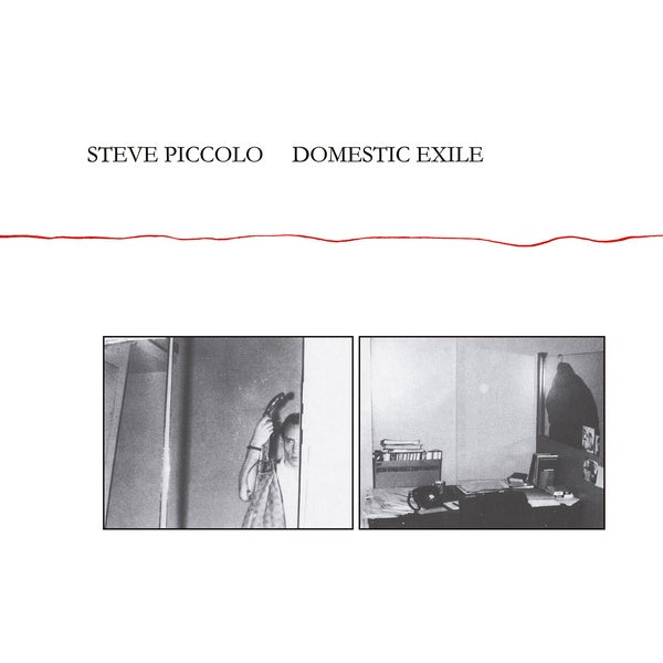 STEVE PICCOLO Domestic Exile
