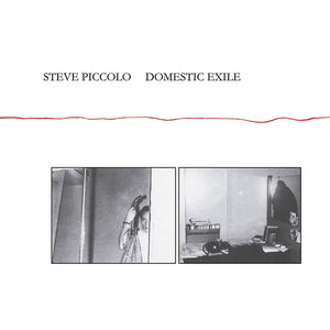 STEVE PICCOLO Domestic Exile