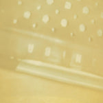 STEVE RODEN The Radio/Airria (Hanging Garden)/Vein Stem Is Calm