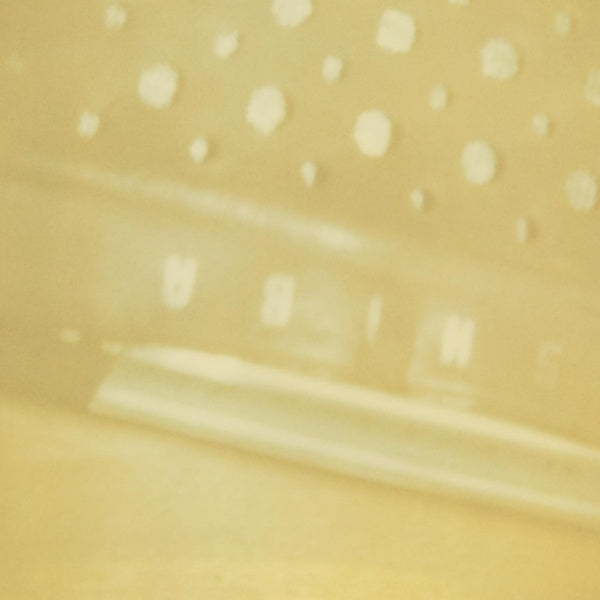 STEVE RODEN The Radio/Airria (Hanging Garden)/Vein Stem Is Calm