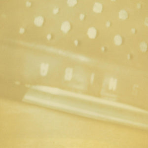 STEVE RODEN The Radio/Airria (Hanging Garden)/Vein Stem Is Calm