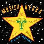 STEVO Musica Negra
