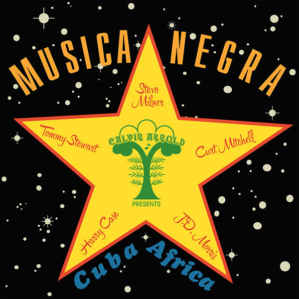 STEVO Musica Negra