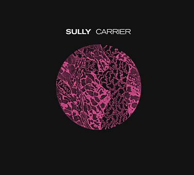 Sully Carrier