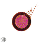 Sun Ra Sleeping Beauty