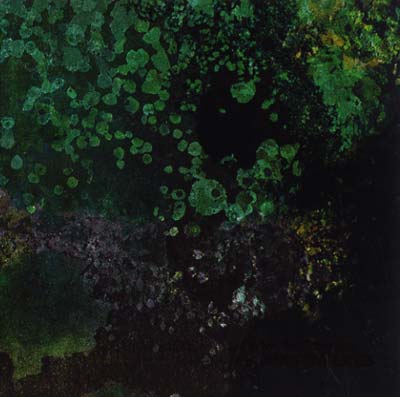 SUTEKH HEXEN WITH ANDREW LILES Breed in Me the Darkness