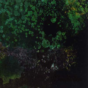 SUTEKH HEXEN WITH ANDREW LILES Breed in Me the Darkness