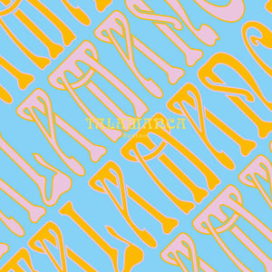 TALAMANCA SYSTEM Talamanca System