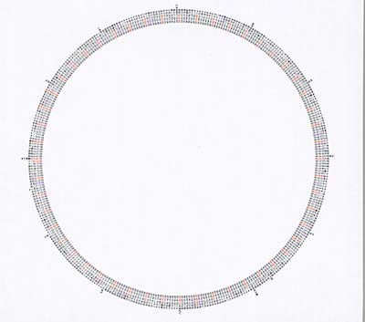 TBA EMPTY Stupid Rotation