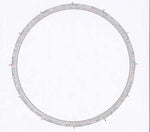 TBA EMPTY Stupid Rotation