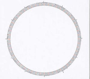 TBA EMPTY Stupid Rotation