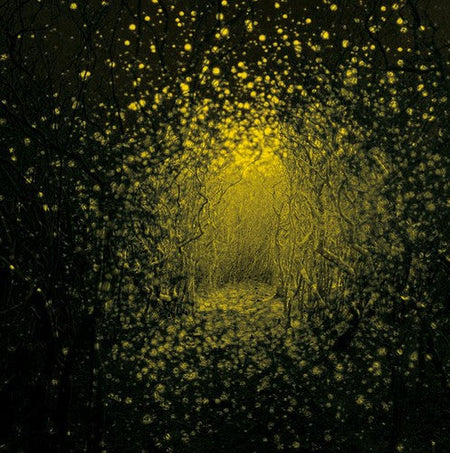 The Antlers Burst Apart (Lemonade Yellow Colored Vinyl)