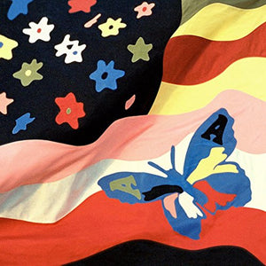 The Avalanches WILDFLOWER (2LP)