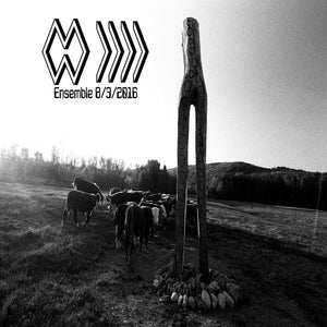 THE BAND WHOSE NAME IS A SYMBOL Ensemble 8/3/2016