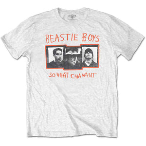 The Beastie Boys So What Cha Want White