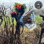 The Black Dog Sleep Deprivation