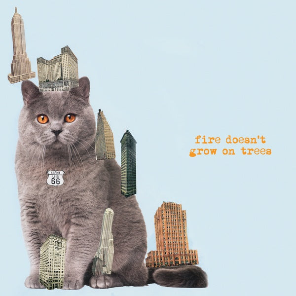 The Brian Jonestown Massacre Fire Doesn't Grow On Trees