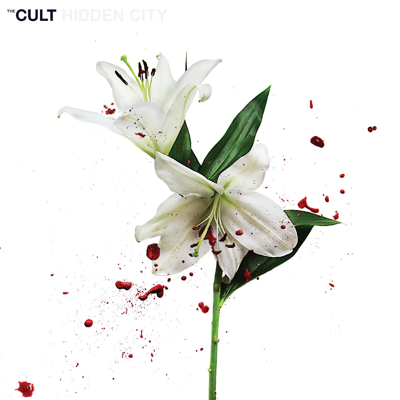 The Cult Hidden City (Cv 45 Audiophile Edition)