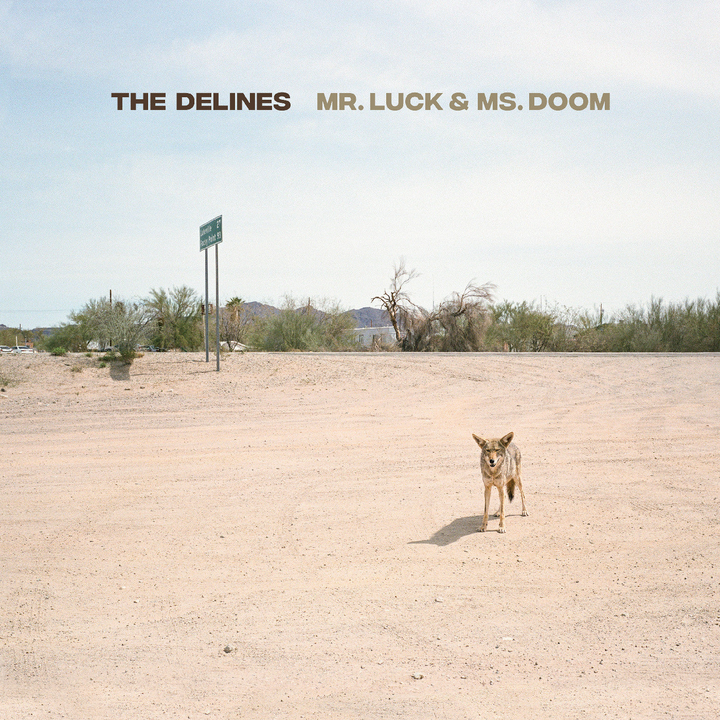 The Delines Mr. Luck & Ms. Doom (Ox Blood Vinyl)