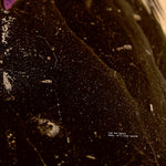 THE FUN YEARS It'S Cold Inside Baby