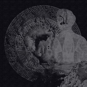 THE NORTH SEA Bloodlines