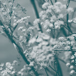 Theresa Wong Journey To The Cave Of Guanyin